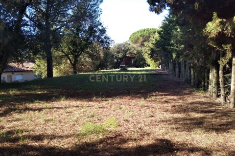 Land plot for sale in Sant Antoni de Vilamajor, Barcelona, Spain No. 167171 - photo 10
