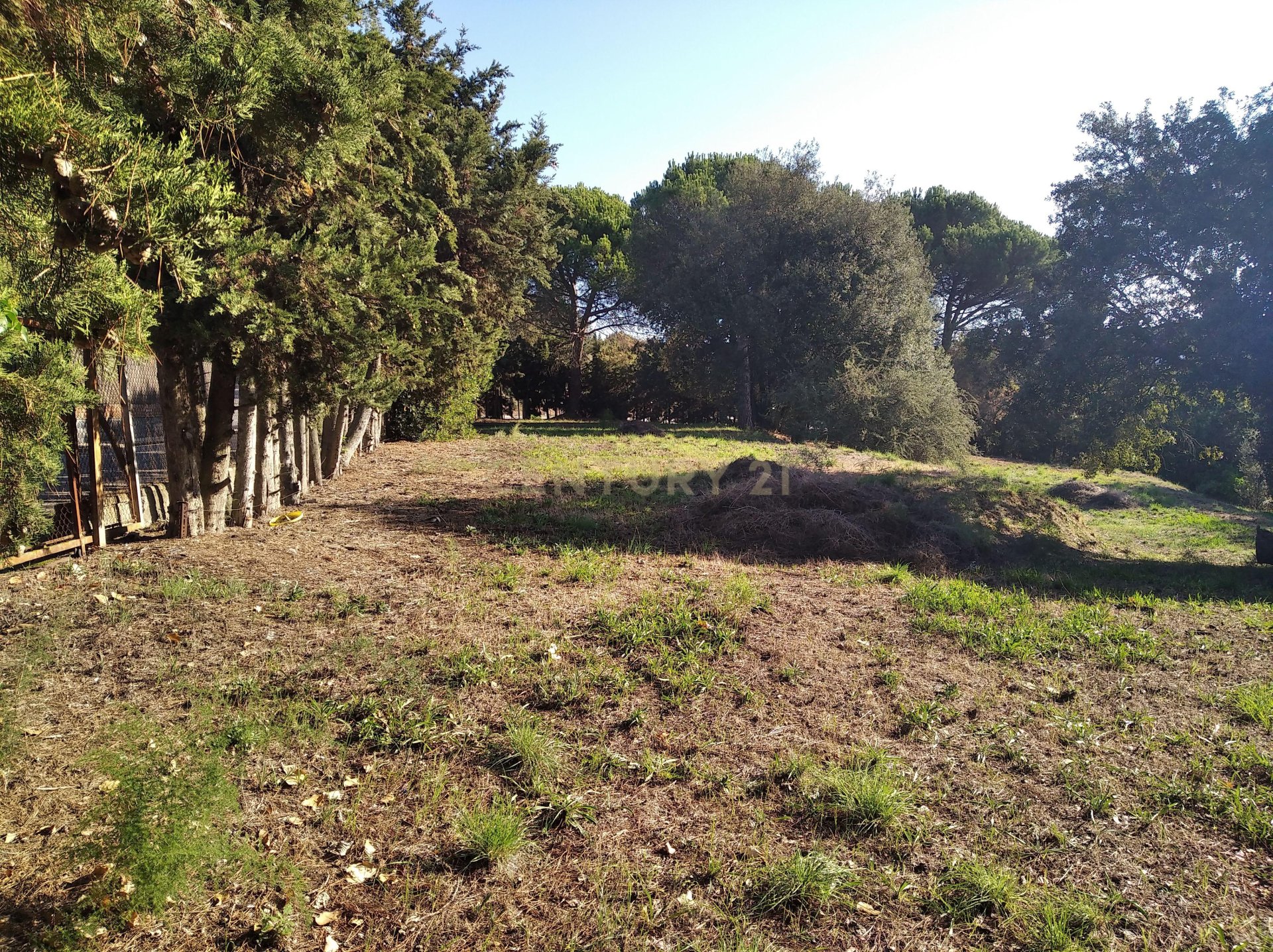 Land plot à Sant Antoni de Vilamajor, Barcelona, Espagne No. 167171