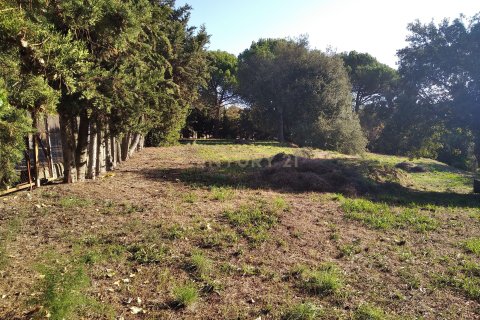 Land plot for sale in Sant Antoni de Vilamajor, Barcelona, Spain No. 167171 - photo 6