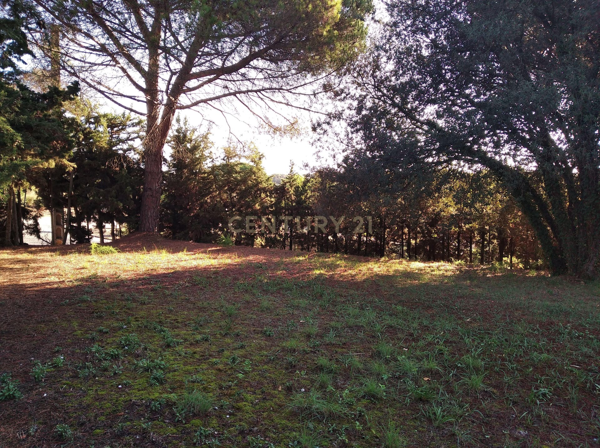 Land plot à Sant Antoni de Vilamajor, Barcelona, Espagne No. 167171