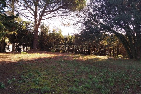 Land plot for sale in Sant Antoni de Vilamajor, Barcelona, Spain No. 167171 - photo 13