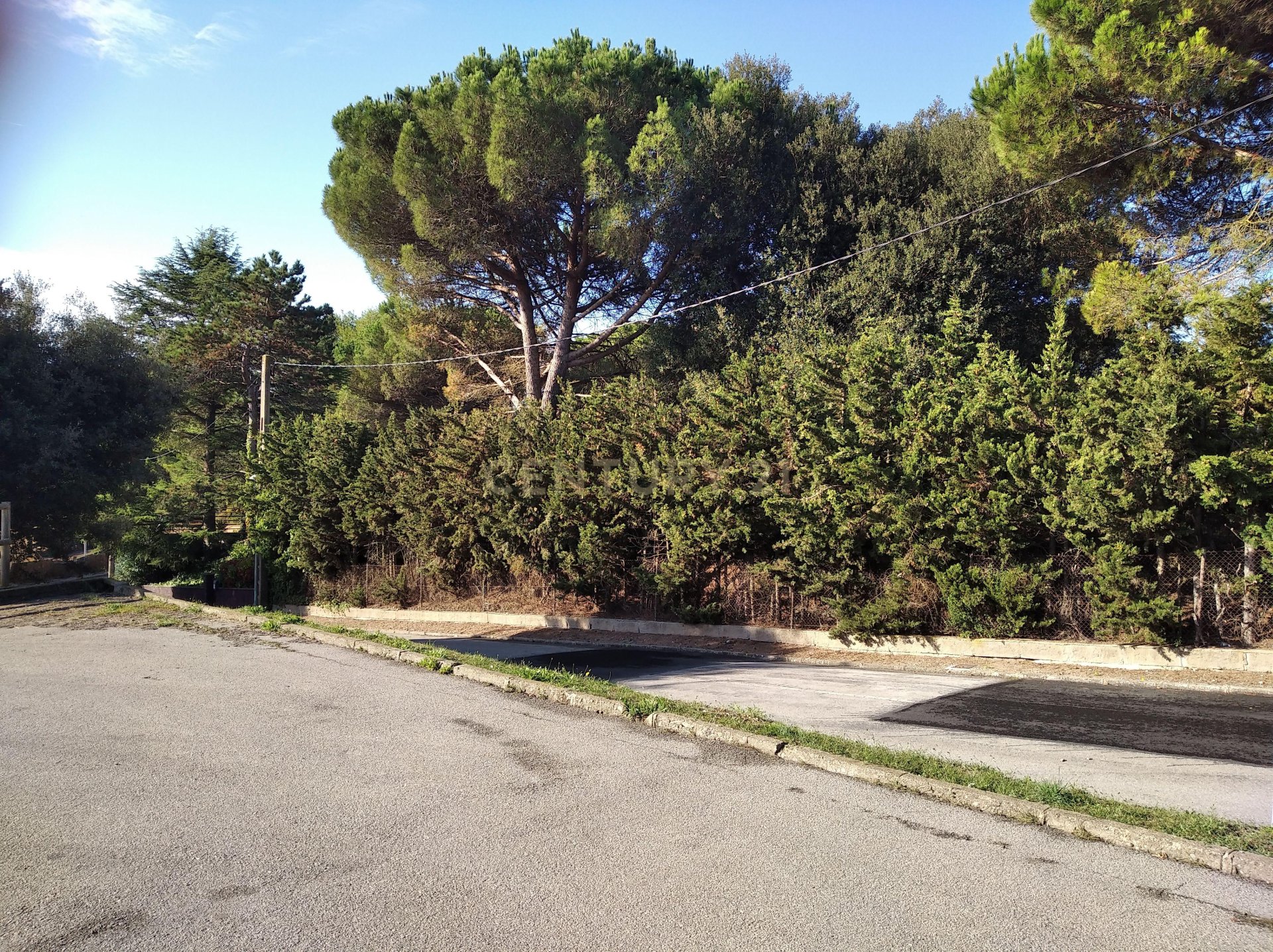Land plot à Sant Antoni de Vilamajor, Barcelona, Espagne No. 167171