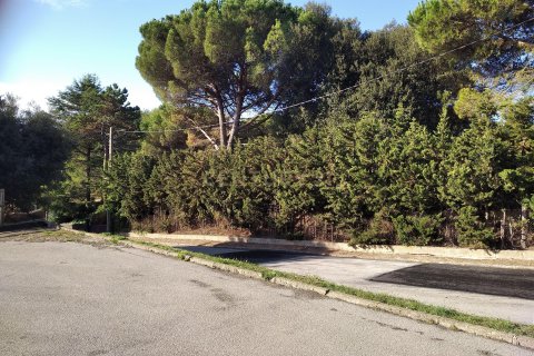 Land plot for sale in Sant Antoni de Vilamajor, Barcelona, Spain No. 167171 - photo 22