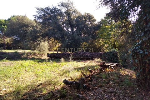 Land plot for sale in Sant Antoni de Vilamajor, Barcelona, Spain No. 167171 - photo 15