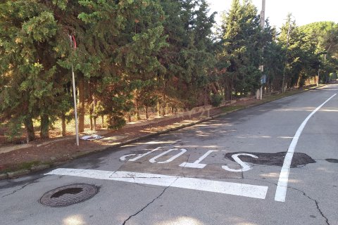 Land plot for sale in Sant Antoni de Vilamajor, Barcelona, Spain No. 167171 - photo 8