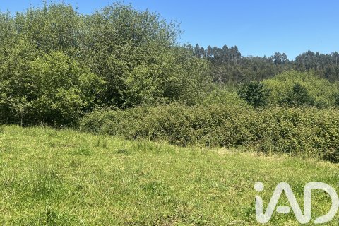 Parcela en venta en Castrillón, Asturias, España 2513 m2 No. 184738 - foto 10