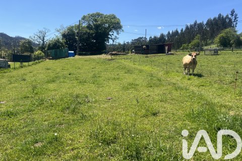 Parcela en venta en Castrillón, Asturias, España 2513 m2 No. 184738 - foto 24