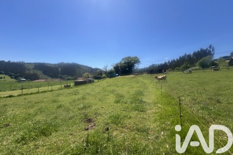 Parcela en venta en Castrillón, Asturias, España 2513 m2 No. 184738 - foto 16