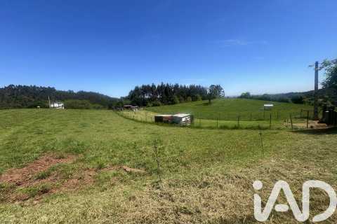 Parcela en venta en Castrillón, Asturias, España 2513 m2 No. 184738 - foto 3