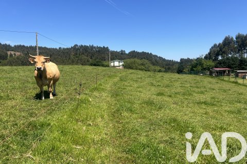 Parcela en venta en Castrillón, Asturias, España 2513 m2 No. 184738 - foto 23