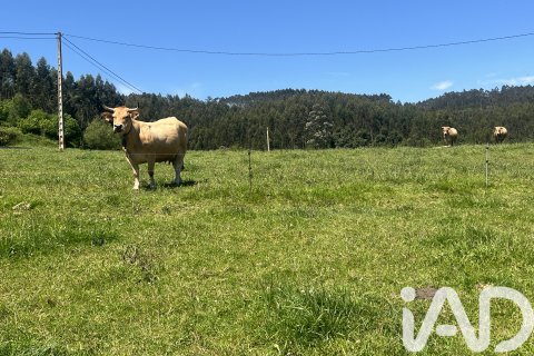 Parcela en venta en Castrillón, Asturias, España 2513 m2 No. 184738 - foto 7