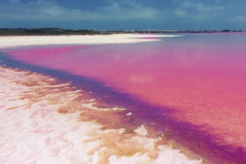 Bungalow à vendre à Los Altos, Alicante, Espagne, 2 chambres, 160 m2 No. 149917 - photo 26