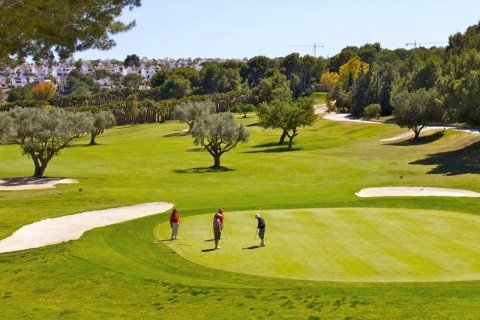 Bungalow till salu i Los Altos, Alicante, Spanien 3 sovrum, 199 kvm. Nr. 149918 - foto 17