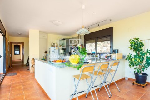 Villa for sale in Platja D'aro, Girona, Spain 3 bedrooms, 158 sq.m. No. 177075 - photo 8