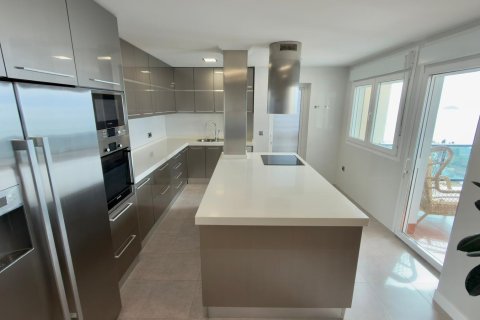 Продажа пентхауса в Вильяхойоса, Аликанте, Испания 4 спальни, 255м2 №167277 - фото 18