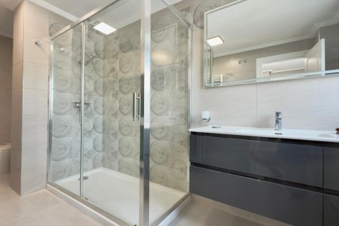 Продажа пентхауса в Вильяхойоса, Аликанте, Испания 4 спальни, 255м2 №167277 - фото 29