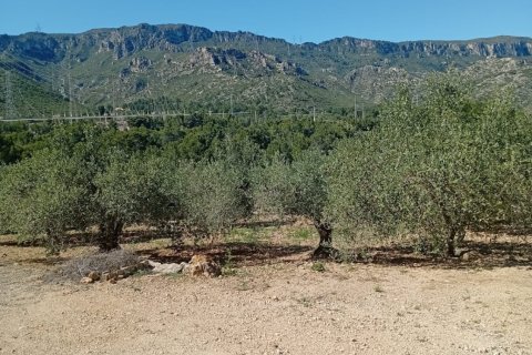 Parcela en Vandellòs i l'Hospitalet de l'Infant, Tarragona, España 11233 m2 No. 184937