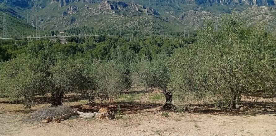 Zemes gabals Vandellòs i l'Hospitalet de l'Infant, Tarragona, Spānijā 11233 m2 Nr. 184937