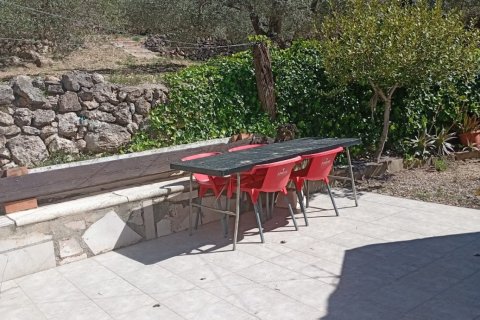 Zemes gabals pārdošanā Vandellòs i l'Hospitalet de l'Infant, Tarragona, Spānijā 11233 m2 Nr. 184937 - attēls 7