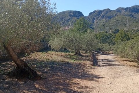 Zemes gabals pārdošanā Vandellòs i l'Hospitalet de l'Infant, Tarragona, Spānijā 11233 m2 Nr. 184937 - attēls 2