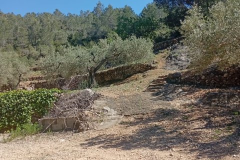 Zemes gabals pārdošanā Vandellòs i l'Hospitalet de l'Infant, Tarragona, Spānijā 11233 m2 Nr. 184937 - attēls 4