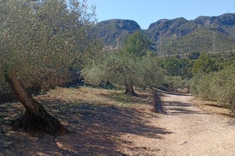 Zemes gabals pārdošanā Vandellòs i l'Hospitalet de l'Infant, Tarragona, Spānijā 11233 m2 Nr. 184937 - attēls 3