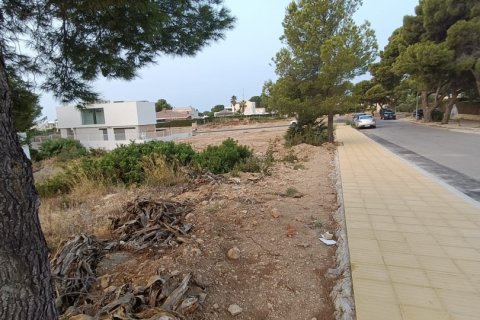 Terreno a L'Ametlla de Mar, Tarragona, Spagna 988 mq. N° 186132