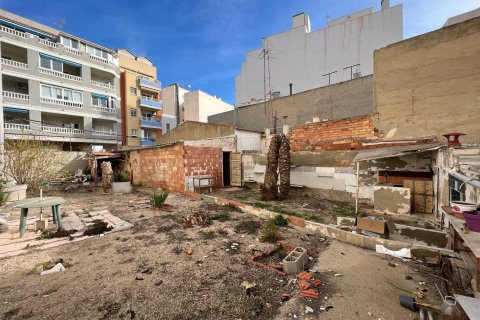 Land plot for sale Torrevieja, Alicante, Spain 40 sq.m. No. 116952 - photo 15