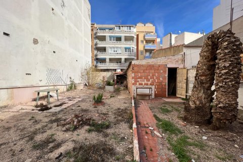 Land plot for sale Torrevieja, Alicante, Spain 40 sq.m. No. 116952 - photo 10