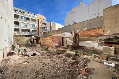 Land plot for sale Torrevieja, Alicante, Spain 40 sq.m. No. 116952 - photo 12