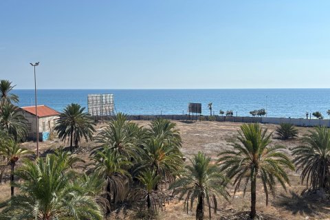Apartament Torrevieja, Alicante, Hiszpania 3 sypialnie,  nr 139942 – zdjęcie 24