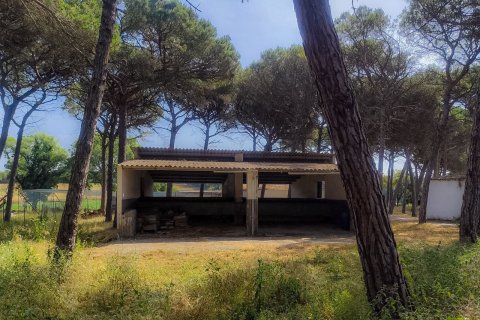 Casa in vendita a Caldes de Malavella, Girona, Spagna 5 camere da letto, 390 mq. N° 166442 - foto 28