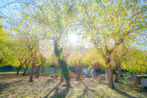 House for sale in Sant Pol de Mar, Barcelona, Spain 4 bedrooms, 270 sq.m. No. 166443 - photo 25