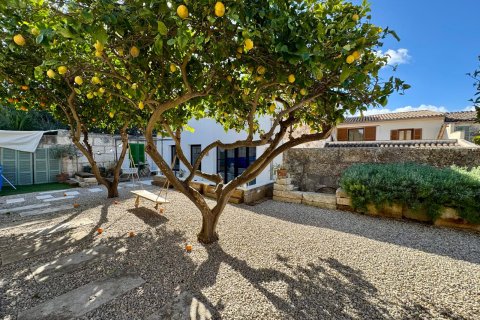 Villetta a schiera in vendita a Muro, Mallorca, Spagna 4 camere da letto, 393 mq. N° 155492 - foto 19