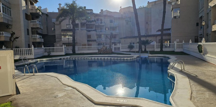 Wohnung in Torrevieja, Alicante, Spanien 1 Schlafzimmer, Nr. 182816