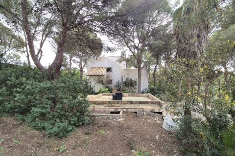 Villa à vendre à Costa De La Calma, Mallorca, Espagne, 3 chambres, 152 m2 No. 155869 - photo 21