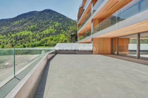 Apartment à vendre à Principado De Andorra (Ninguna Poblacion Tiene C.P.), Lleida, Espagne, 4 chambres, 212 m2 No. 178551 - photo 19