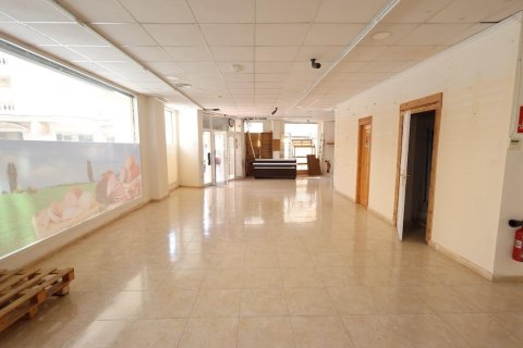 Komerciāls īpašums pārdošanā Torrevieja, Alicante, Spānijā 452 m2 Nr. 165623 - attēls 5