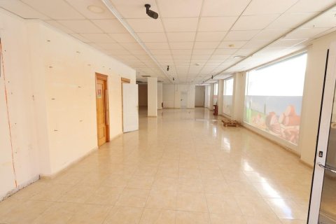 Komerciāls īpašums pārdošanā Torrevieja, Alicante, Spānijā 452 m2 Nr. 165623 - attēls 3