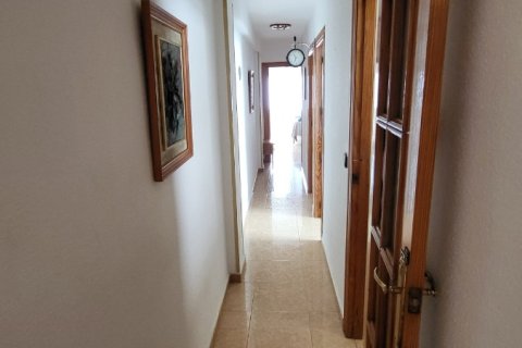Appartamento in vendita a Torrevieja, Alicante, Spagna 3 camere da letto, N° 194741 - foto 6