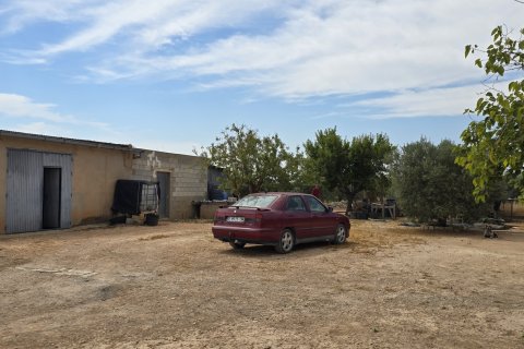 Продажа дома в Екла, Мурсия, Испания 5 спален, 309м2 №187698 - фото 11