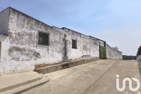 Działka w Villablanca, Huelva, Hiszpania 888 mkw. nr 173318 – zdjęcie 6