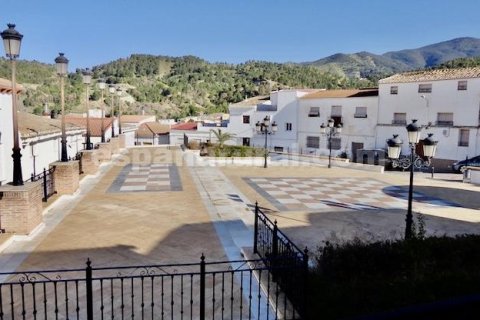 House for sale in Purchena, Almeria, Spain 4 bedrooms, 120 sq.m. No. 184011 - photo 15