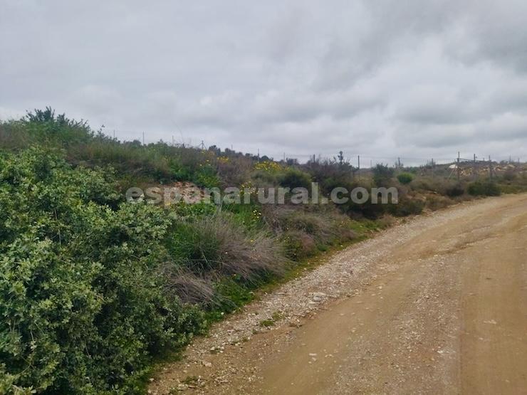 Talo Albox, Almeria, Espanja 3 makuuhuonetta, 110 m2 No. 184012