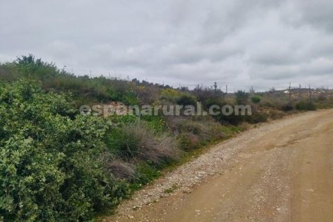 Продажа дома в Альбокс, Альмерия, Испания 3 спальни, 110м2 №184012 - фото 13