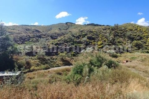 Продажа дома в Серон, Альмерия, Испания 80м2 №184008 - фото 13