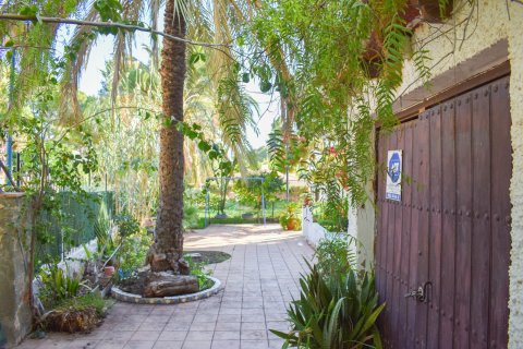 Villa in vendita Punta Prima, Alicante, Spagna 4 camere da letto, 150 mq. N° 136733 - foto 8