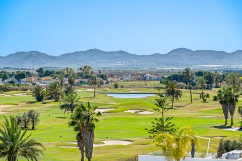 Lägenhet till salu i Los Alcazares, Murcia, Spanien 2 sovrum,  Nr. 182240 - foto 19