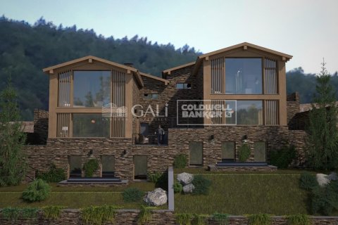 Villa for sale in Principado De Andorra (Ninguna Poblacion Tiene C.P.), Lleida, Spain 5 bedrooms, 465 sq.m. No. 157429 - photo 1