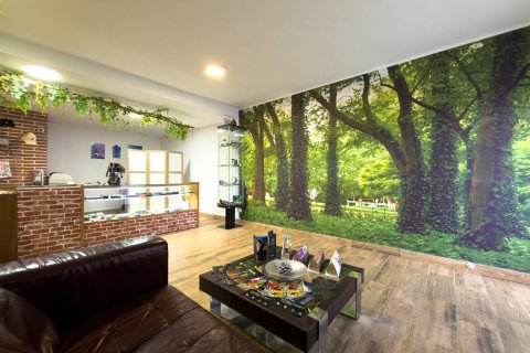Commercial property for sale in San Martin de Valdeiglesias, Madrid, Spain 1 bedroom, 52 sq.m. No. 182879 - photo 4